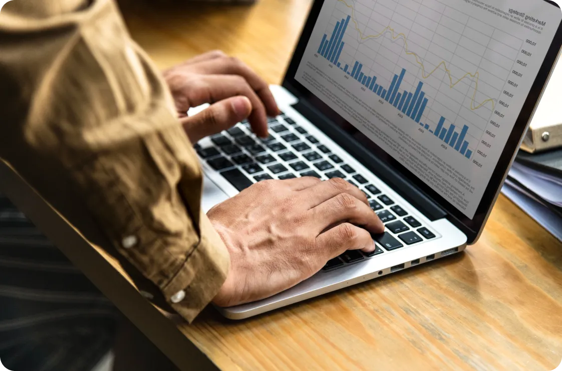 Microsoft Dynamics NAV lead